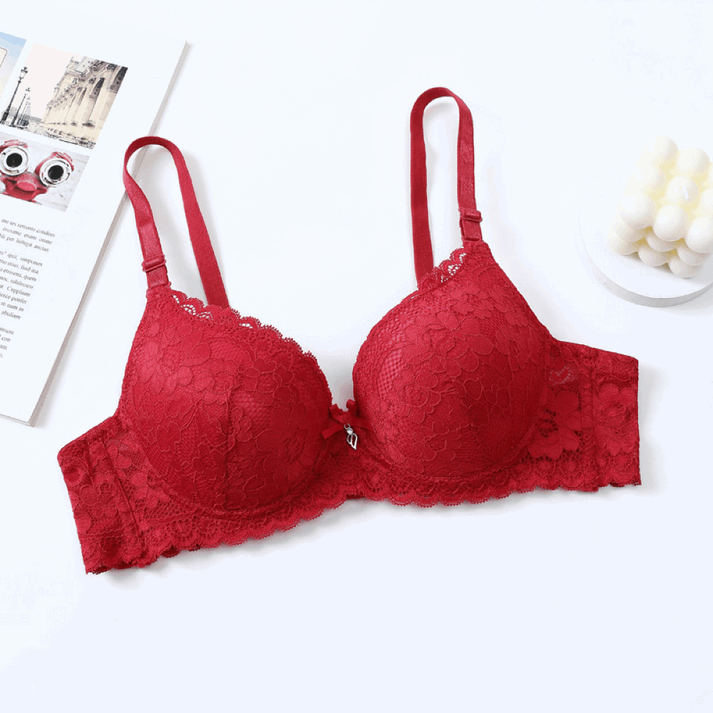 Lace Comfortable Padded Bra