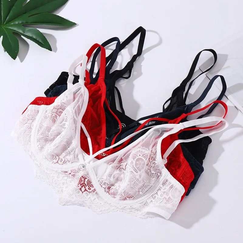 Net Lace panty bra set