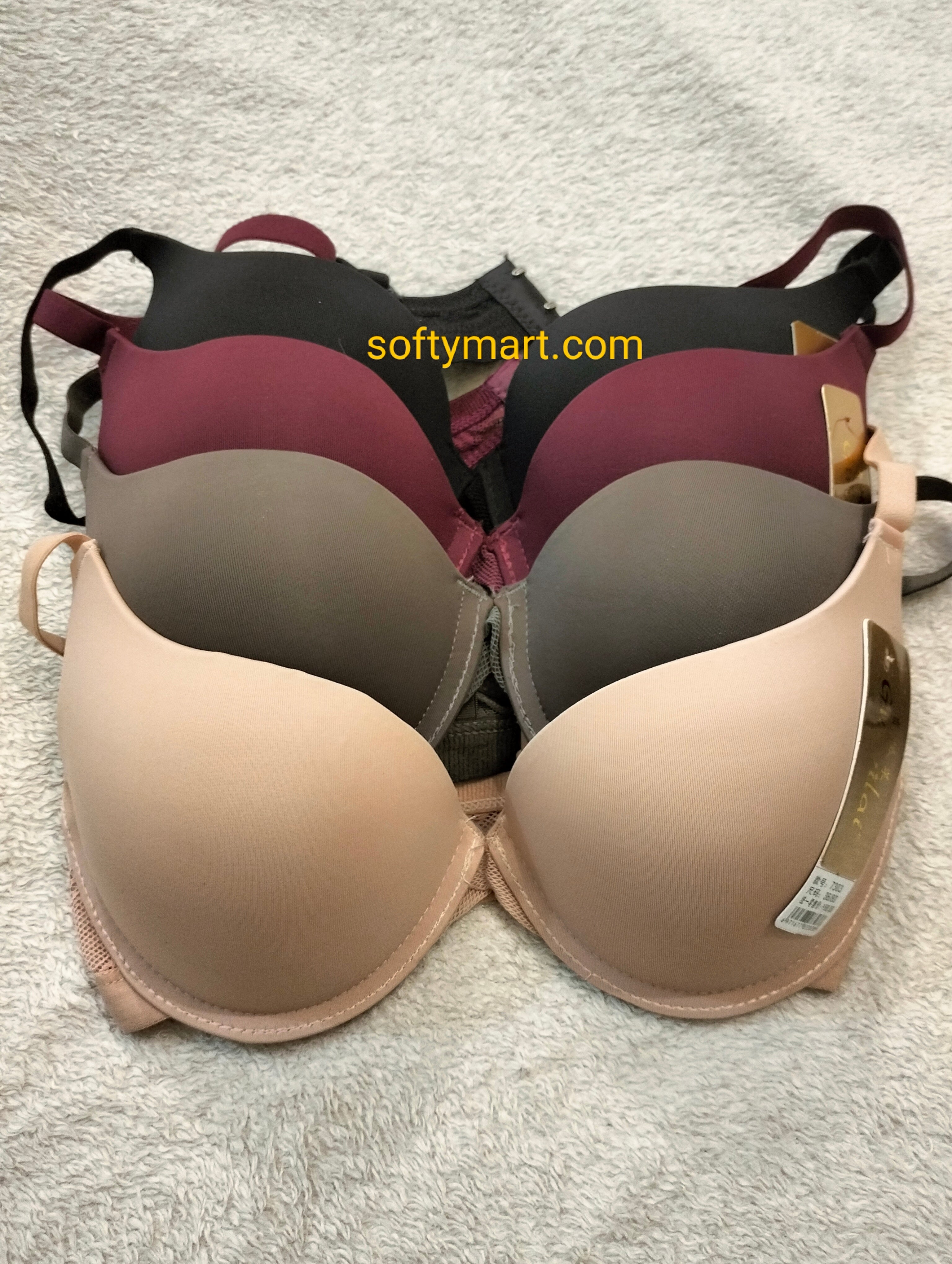 Premium pushup underwire bra (sale price)