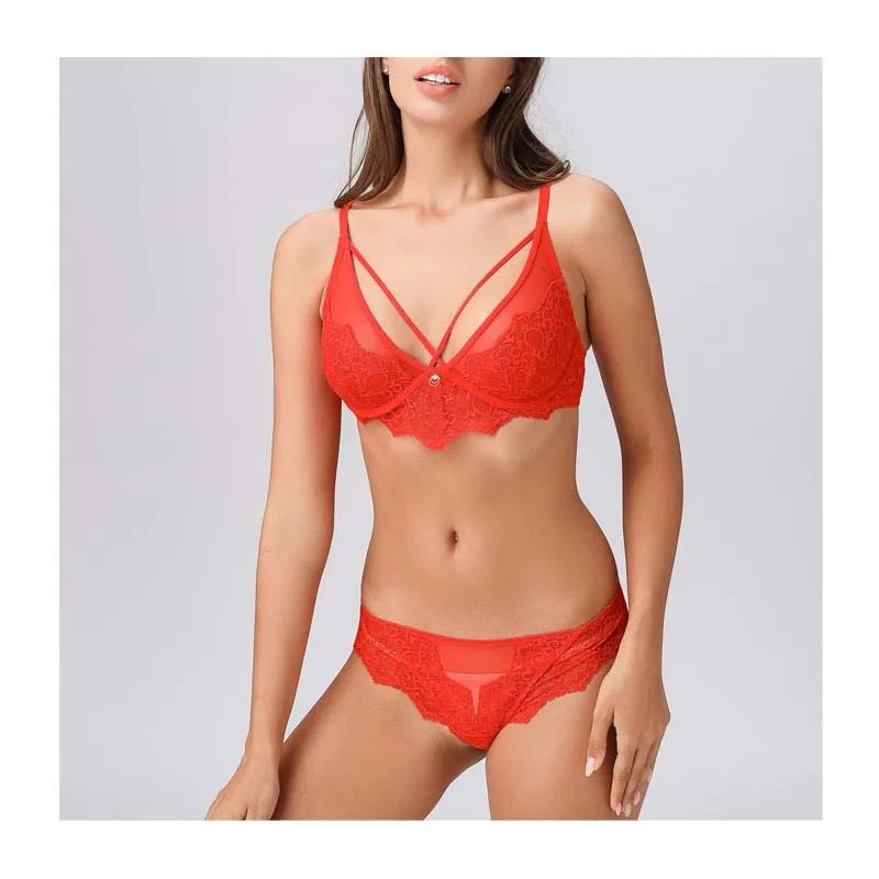 Net Lace panty bra set