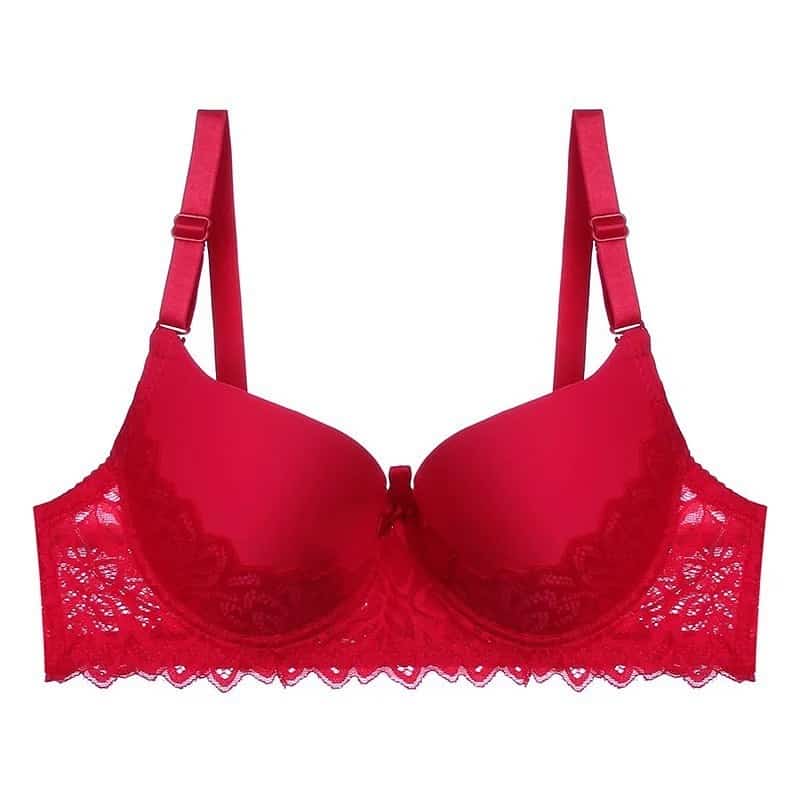 Women Underwear Lightly Padded Push Up bra